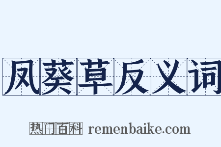 凤葵草反义词是什么意思的图片